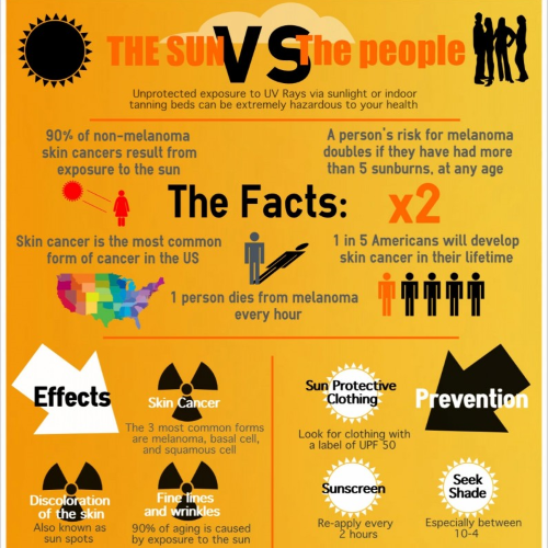 Infographic: The Sun Vs. The People
